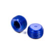 XRP-XTREME RACING PROD. 3/8in Male Pipe Plug (2pk) 993204