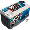 XS POWER BATTERY XS Power AGM Battery 12 Volt 1250A CA D4900