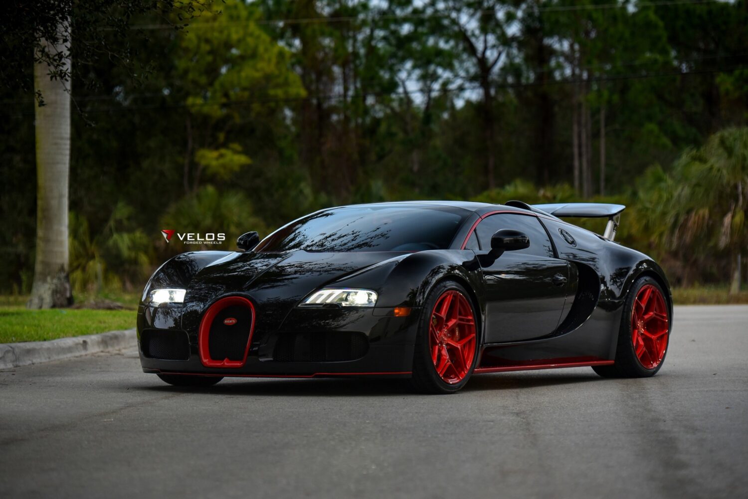 Bugatti Veyron with 20 and 21-inch Velos VXS02

