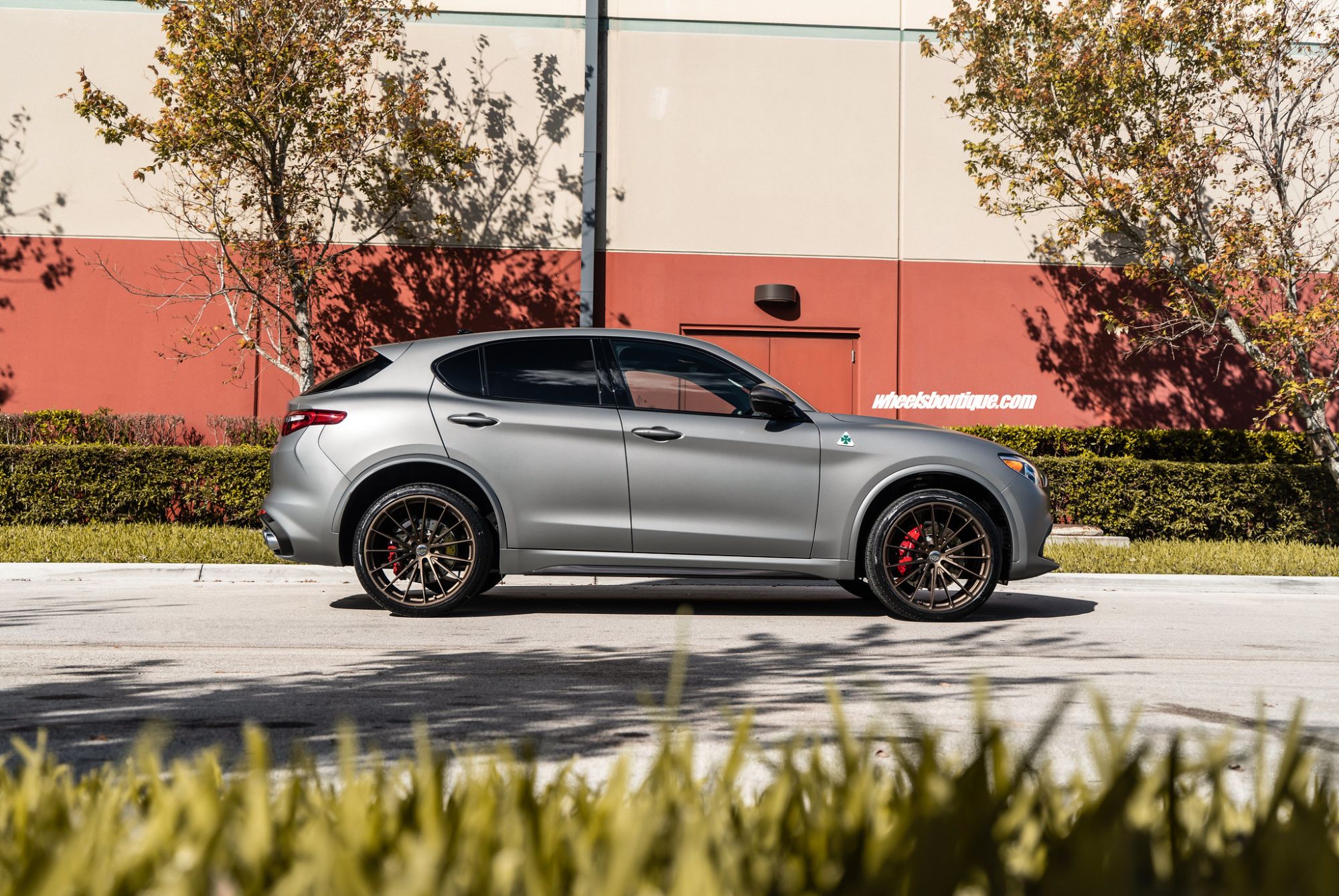 Fascinating Alfa Romeo Stelvio On 22s Photos