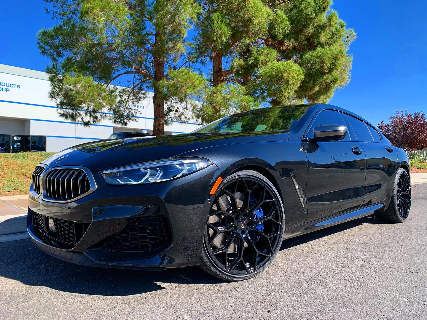 BMW 8 Series G14/G15/G16 with 22×9 and 22×10.5-inch Giovanna Monte Carlo
