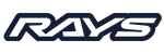 Partner Logo 10: RAYS