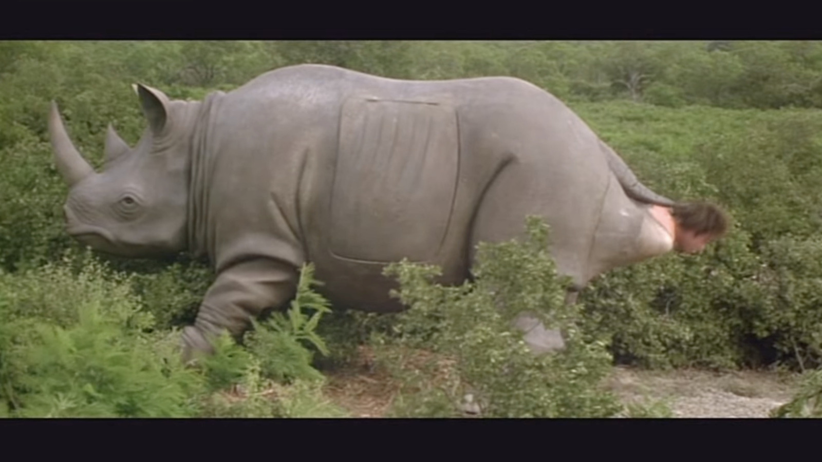 The Ace Ventura ‘Butt Birth’ Rhino Is Up for Auction