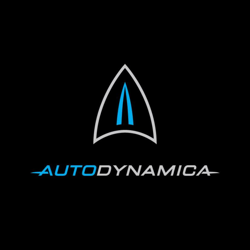 Autodynamica