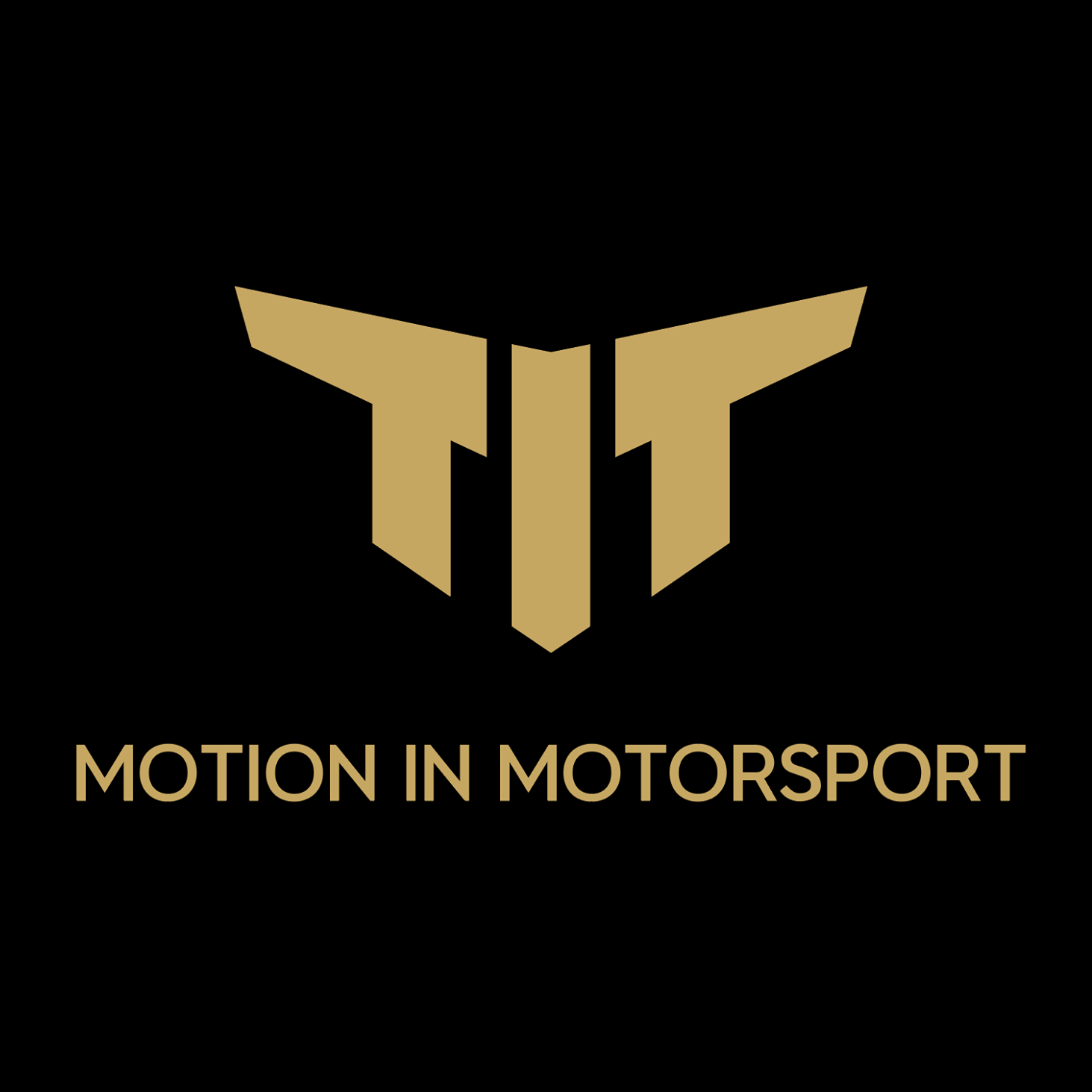 Motion in Motorsport