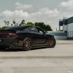 2017-Dodge-Charger-Hellcat-FR4-Matte-Bronze-7-of-9