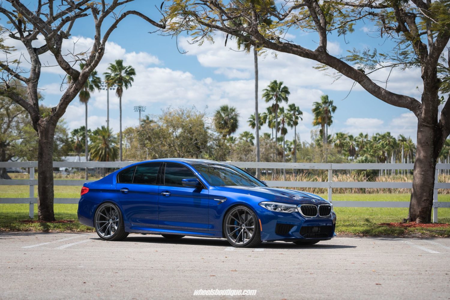 BMW M5 F90 Blue HRE P204 Wheel | Wheel Front