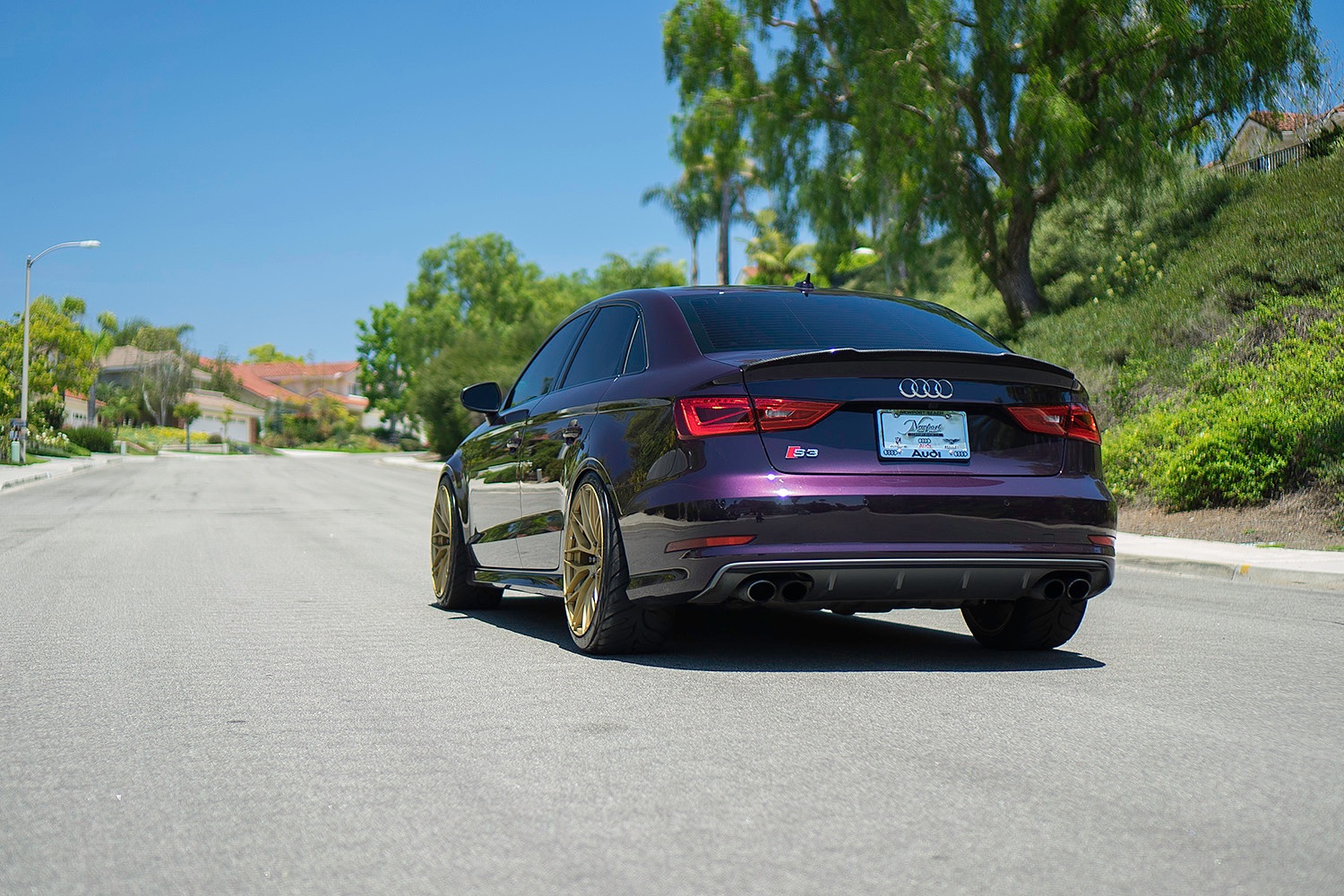 Audi-S3-Purple-Gold-ZF01-6