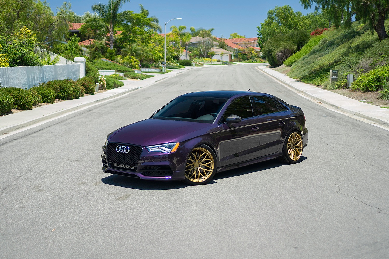 Audi-S3-Purple-Gold-ZF01-7