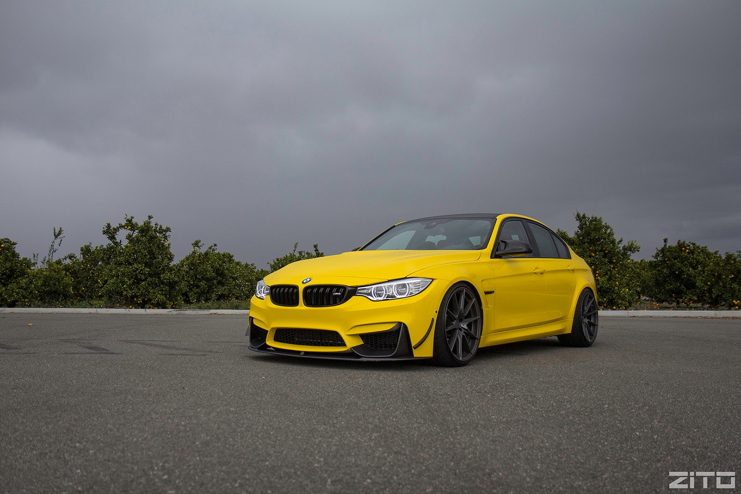 BMW-F80-Yellow-ZF03-25