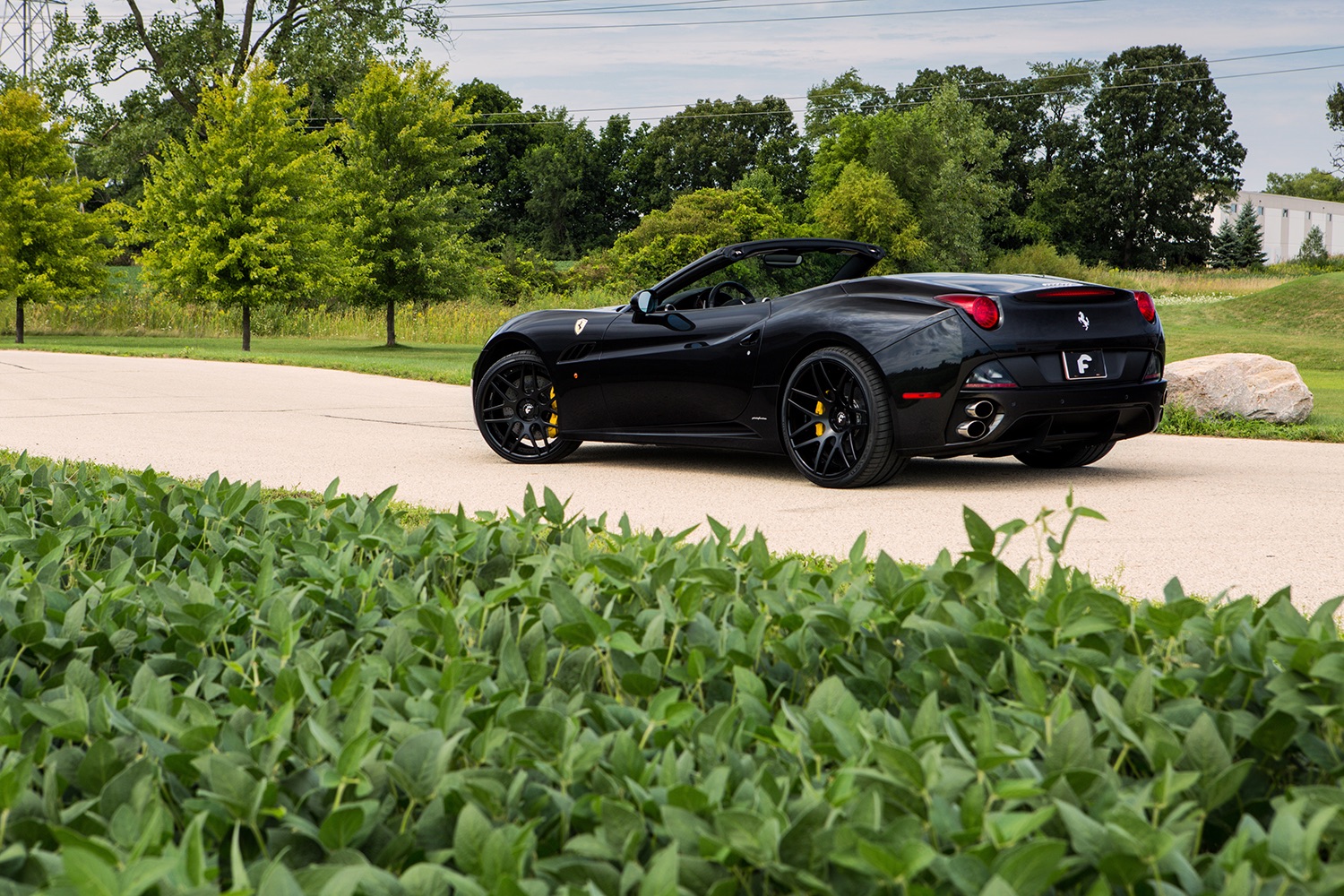 Ferrari_California_Ramiro_4