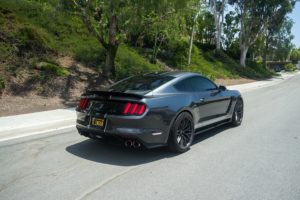 Ford-Mustang-GT350-Gunmetal-ZF01-11