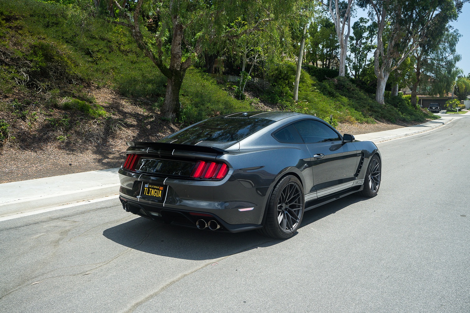 Ford-Mustang-GT350-Gunmetal-ZF01-11