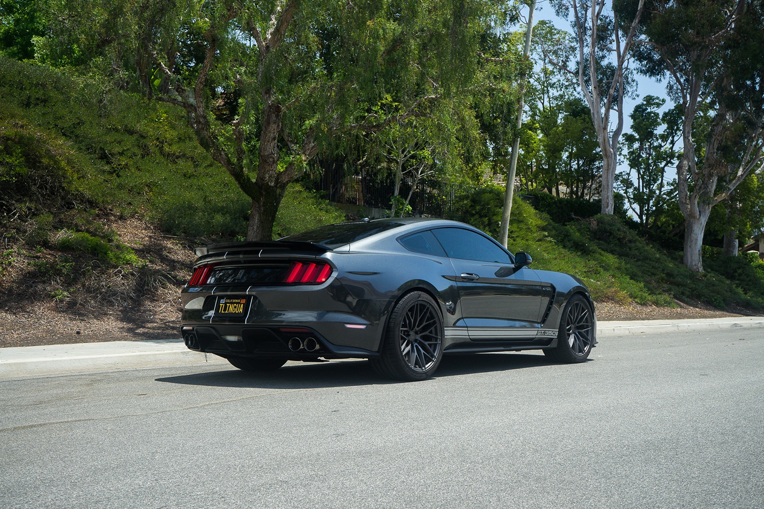 Ford-Mustang-GT350-Gunmetal-ZF01-7