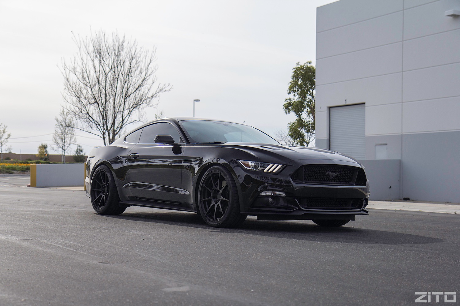 Ford-Mustang-S550-Black-Black-ZF02-1