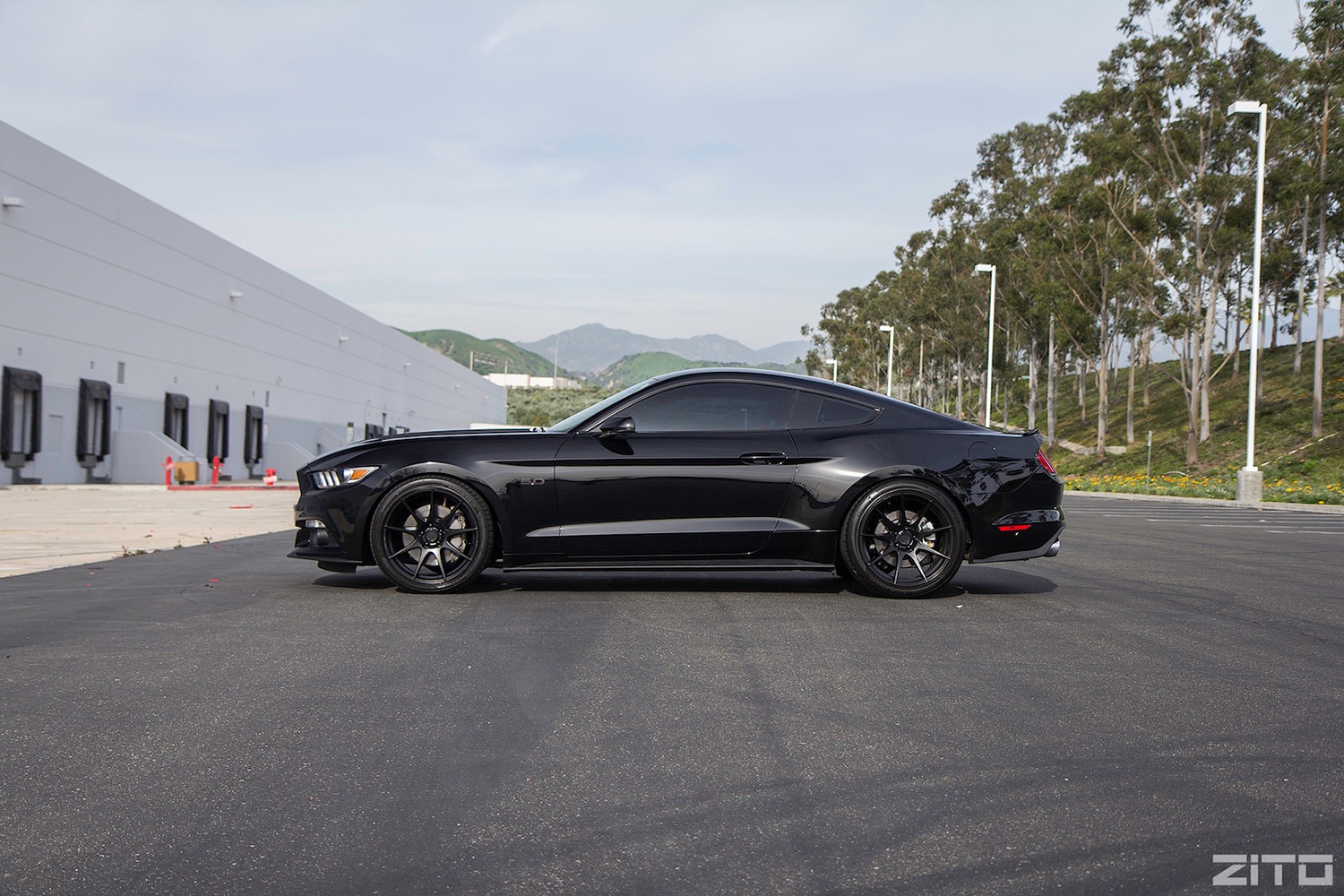Ford-Mustang-S550-Black-Black-ZF02-27