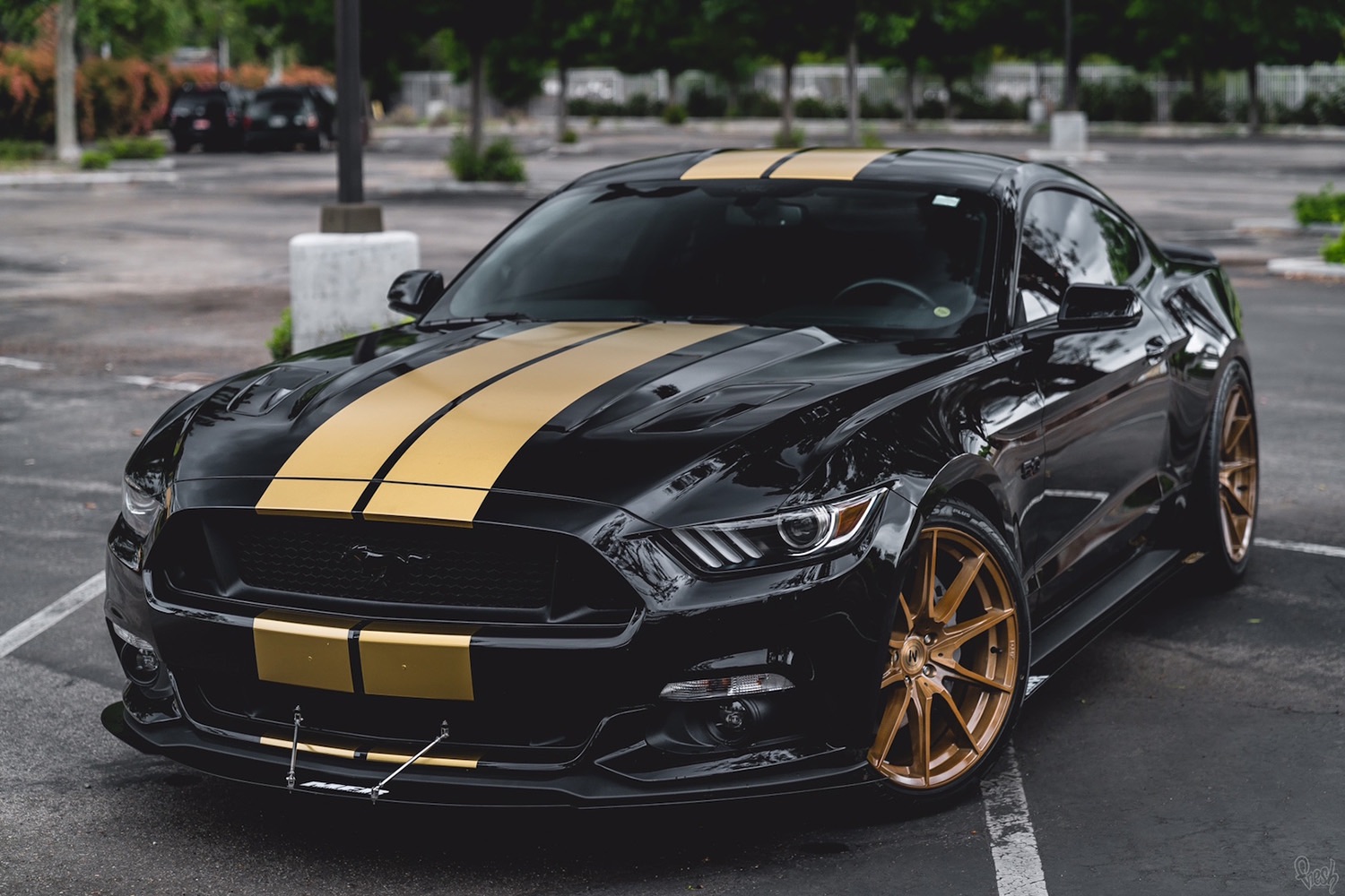 Ford-Mustang-S550-Black-Gold-ZF03-1