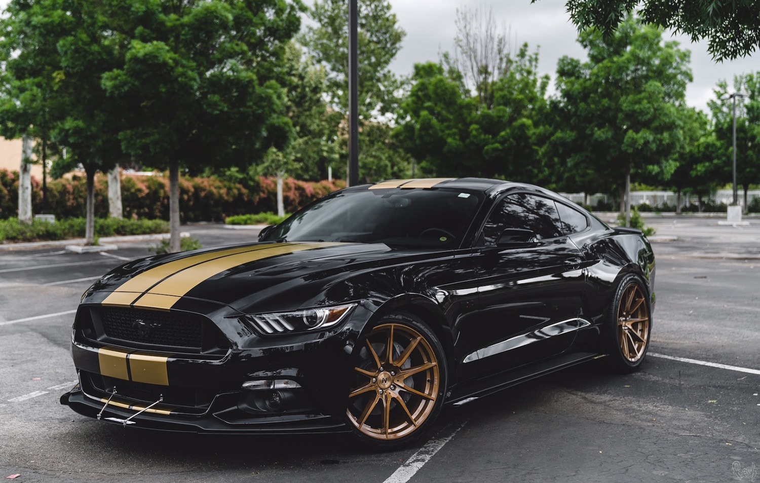 Ford-Mustang-S550-Black-Gold-ZF03-4