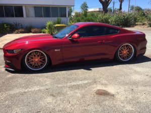GNOSIS-CV202-ford-mustang-1