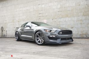 Gray-Shelby-GT350-on-Satin-Graphite-Project-6GR-1