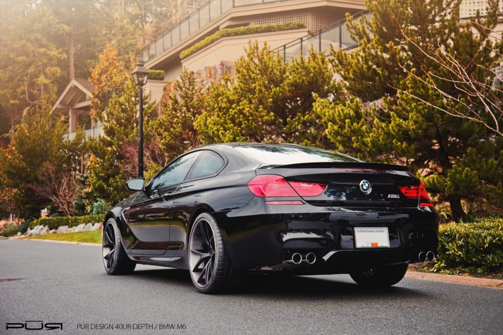 M6_PUR_8-1