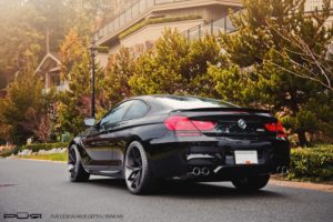 M6_PUR_8-1
