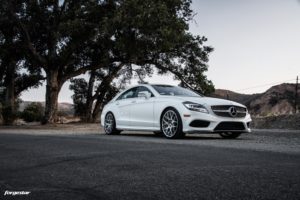 Mercedes-Benz-CLS-Forgestar-M7S-Wheels-Image-2