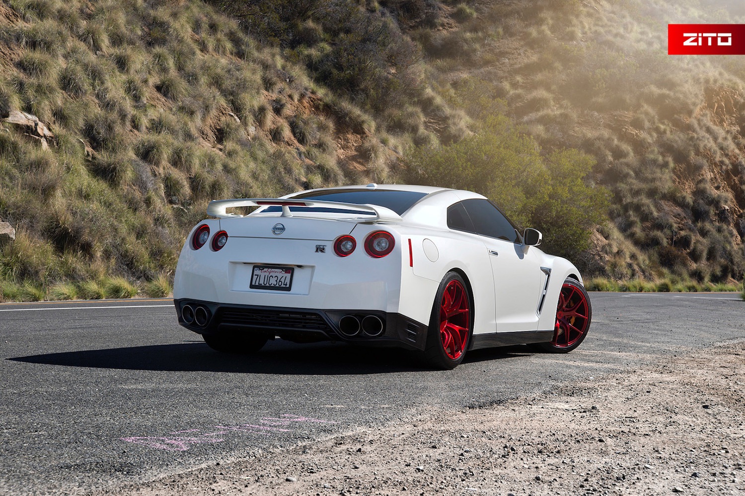 Nissan-GTR-White-Red-ZS05-8