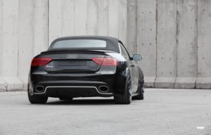 RS5-REAR-1-72