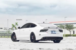 RS73-2