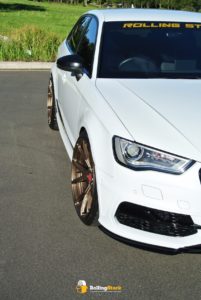 S3-103-Bronze-10-RS
