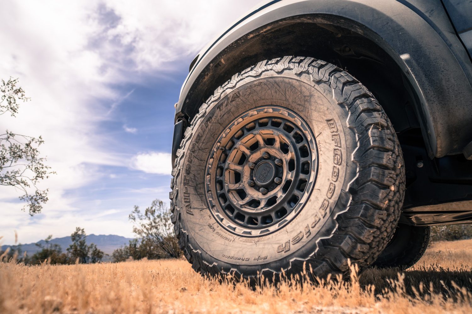 Ford F-150 Raptor Grey Black Rhino Chamber Wheel | Wheel Front