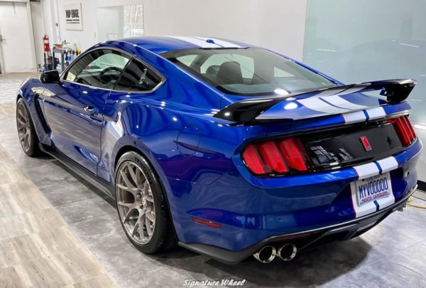 Ford Shelby Mustang GT350 Blue Signature SV503 | Wheel Front