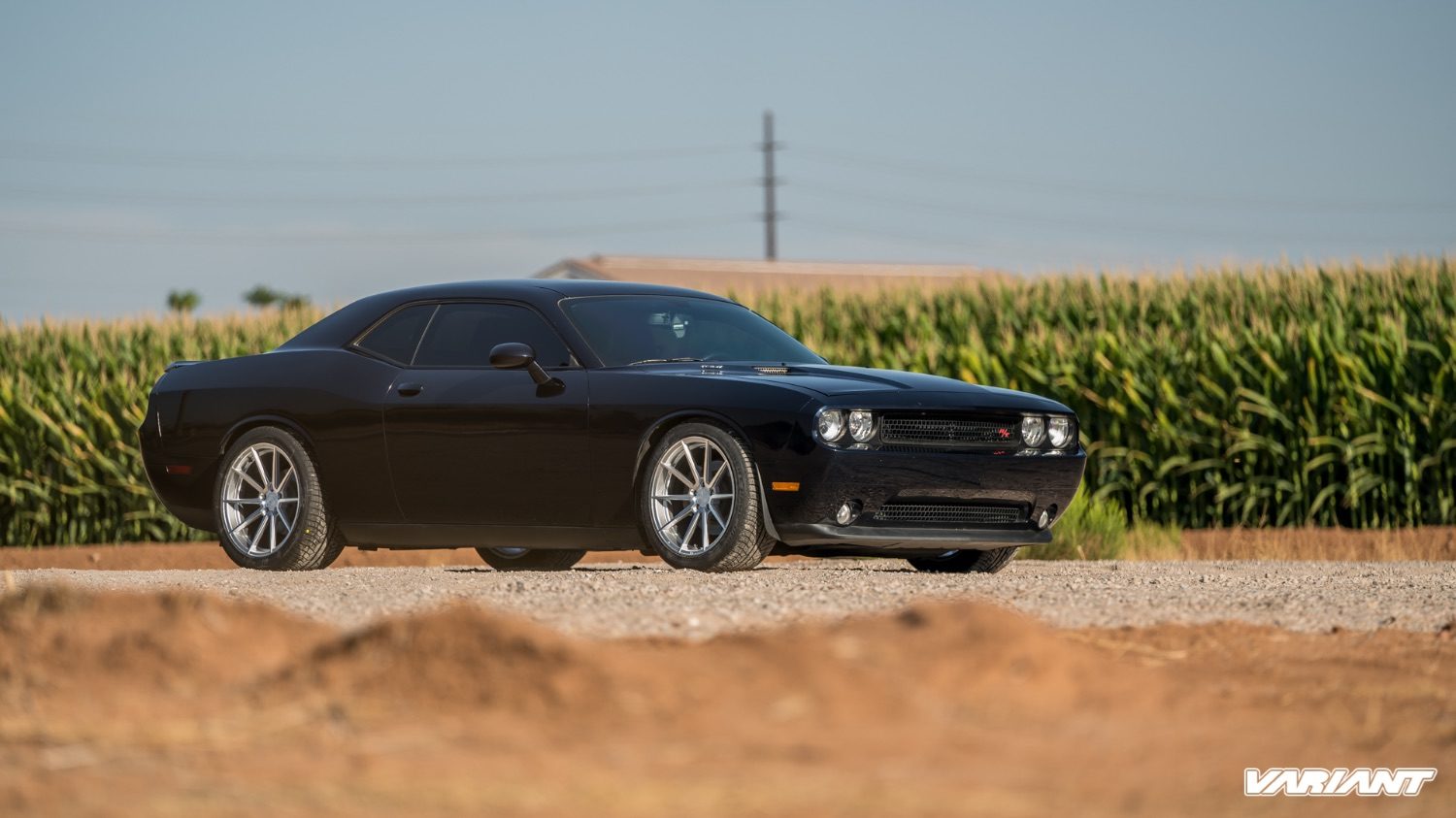 dodge-challenger-argon-variant-wheels-2
