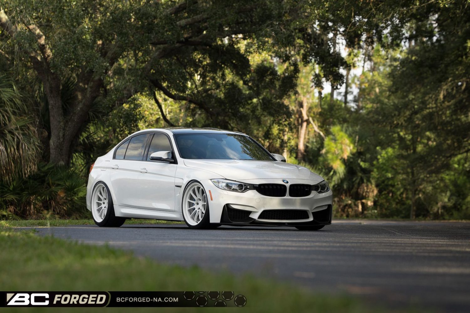 Bmw M F White Bc Forged Td Wheel Wheel Front