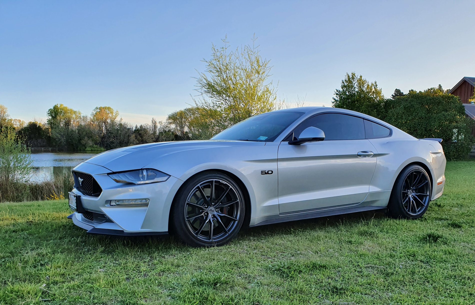 Ford Mustang GT S550 Silver Niche Rainer M239 | Wheel Front