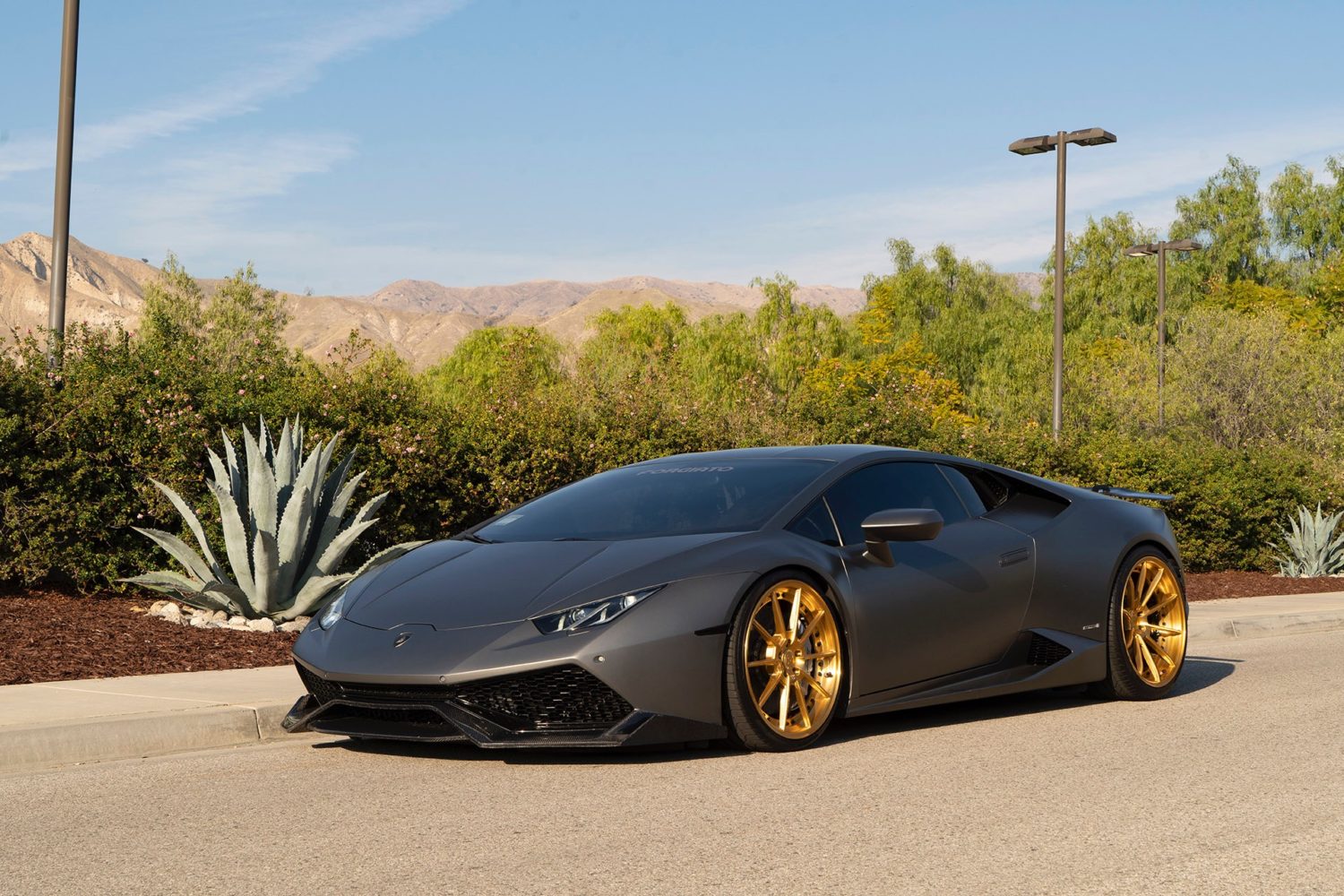 Lamborghini Huracan Grey Forgiato Tec 24 Wheel Front