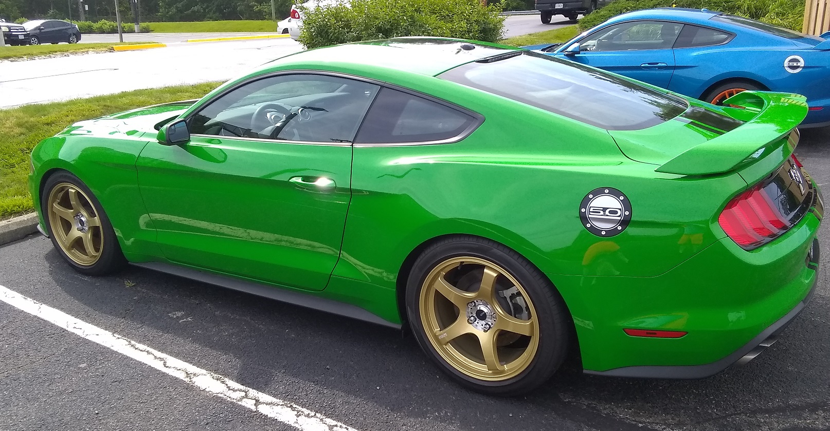 green-mustang-with-gold-wheels-1.jpg