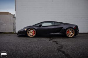 lamborghinigallardopurfl04monacogold6