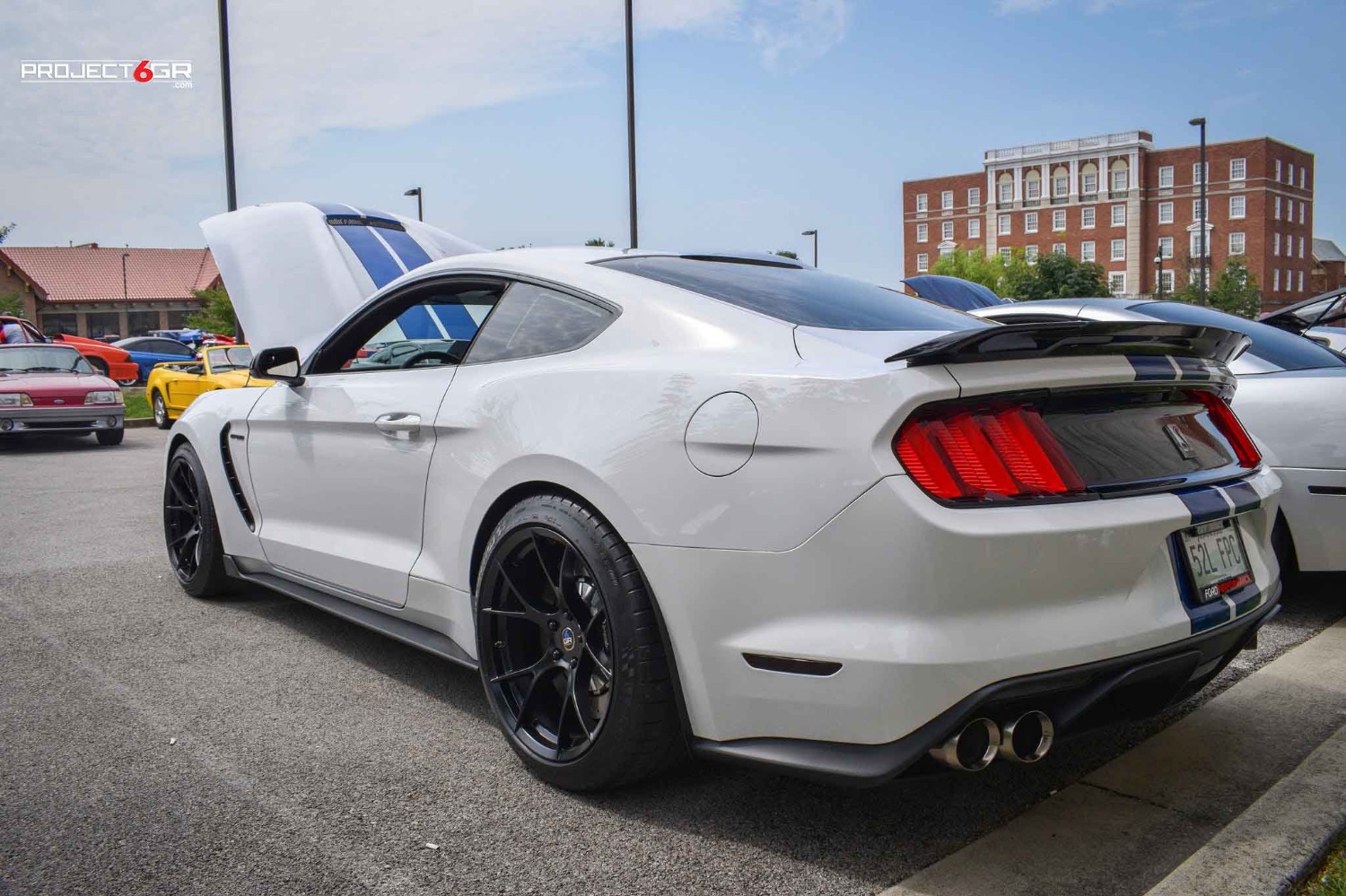 project-6gr-10-ten-ox-ford-whiteshelby-gt350-gloss-black-wheels-02