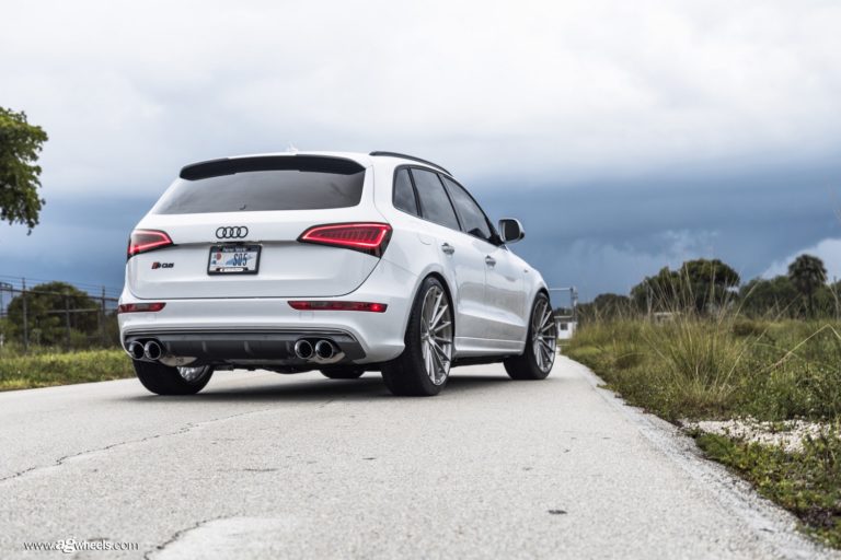 sq5-m615-concave-wheels-brushed-stainless-13