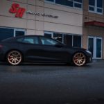 teslamodlespurrs03gold2