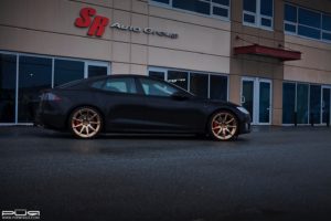 teslamodlespurrs03gold2