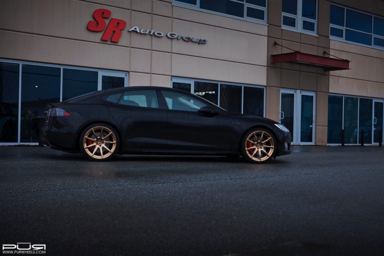 teslamodlespurrs03gold2
