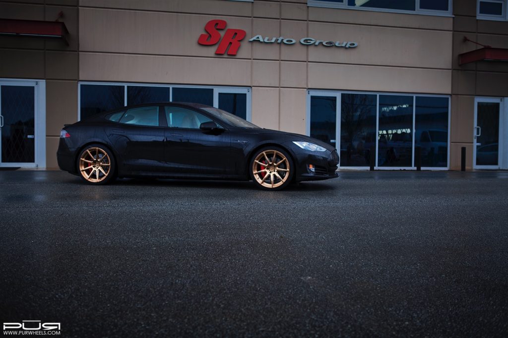 teslamodlespurrs03gold5