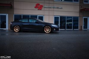 teslamodlespurrs03gold5