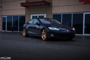 teslamodlespurrs03gold7
